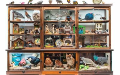 Jaki sklep zoologiczny polecacie w swoim mieście?