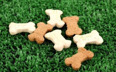 Jakie naturalne gryzaki dla szczeniaka sprawdzą się w codziennej zabawie?