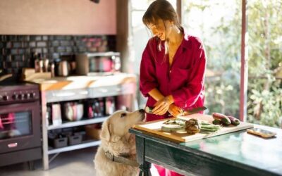 Koci sklep jak zrobić i od czego zacząć własny biznes?