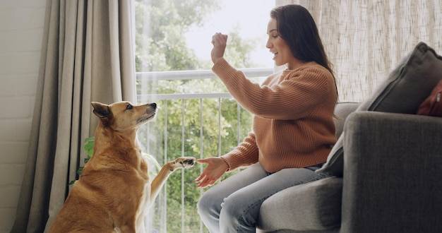 Dlaczego Twoja suczka zachowuje się jak pies?