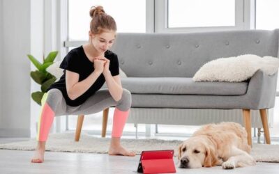 Jak nauczyć psa zostawiać w domu bez stresu?