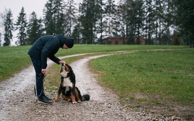 Jak oduczyć psa ruchów kopulacyjnych? Jak oduczyć psa ruchów kopulacyjnych?