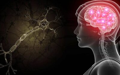 Jak rozpoznać zaburzenia układu nerwowego objawy na co zwrócić uwagę?