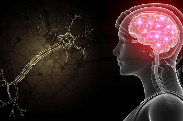 Jak rozpoznać zaburzenia układu nerwowego objawy na co zwrócić uwagę?