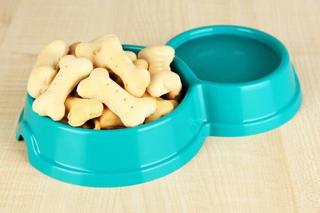 Zabawka dla psa na przysmaki czy warto ją wybrać?